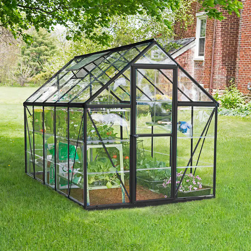 Växthus Canopia by Palram Harmony 5,7 m²