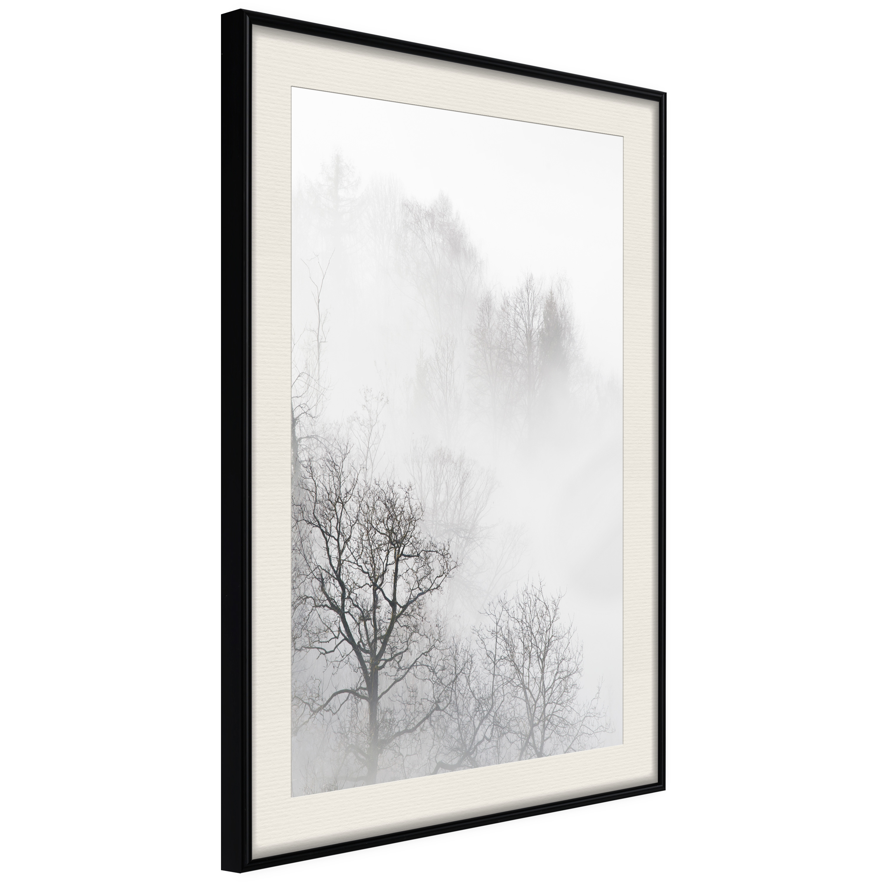 Affisch - Trees In The Fog [Poster] 40x60 Svart ram med passepartout, 40x60 cm