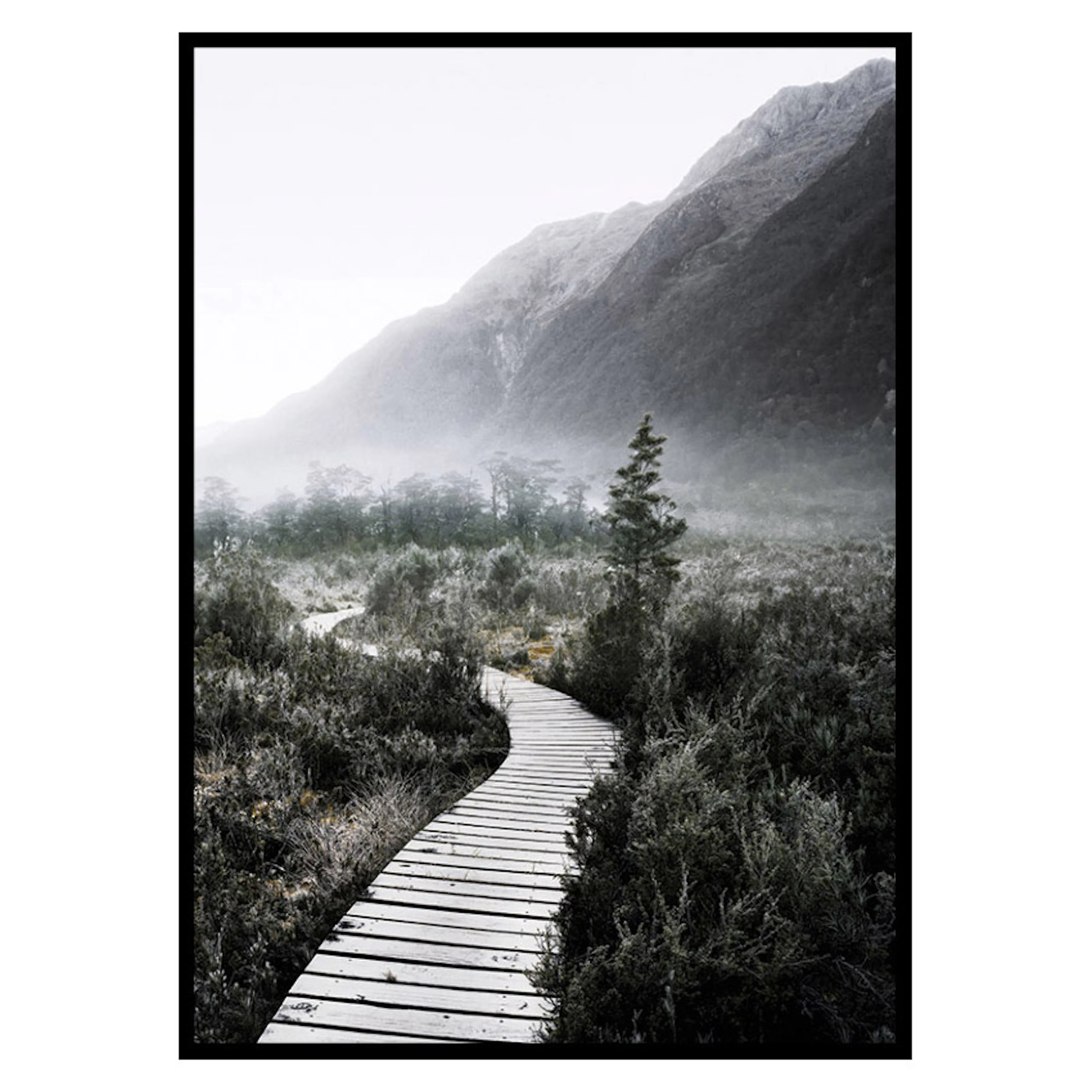 Poster Gallerix Boardwalk New Zealand