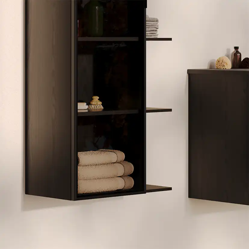 Dörr Högskåp Ram 160x35 Svart matt/Klar BxH: 350 x 1600 mm, Mattsvart, Klarglas