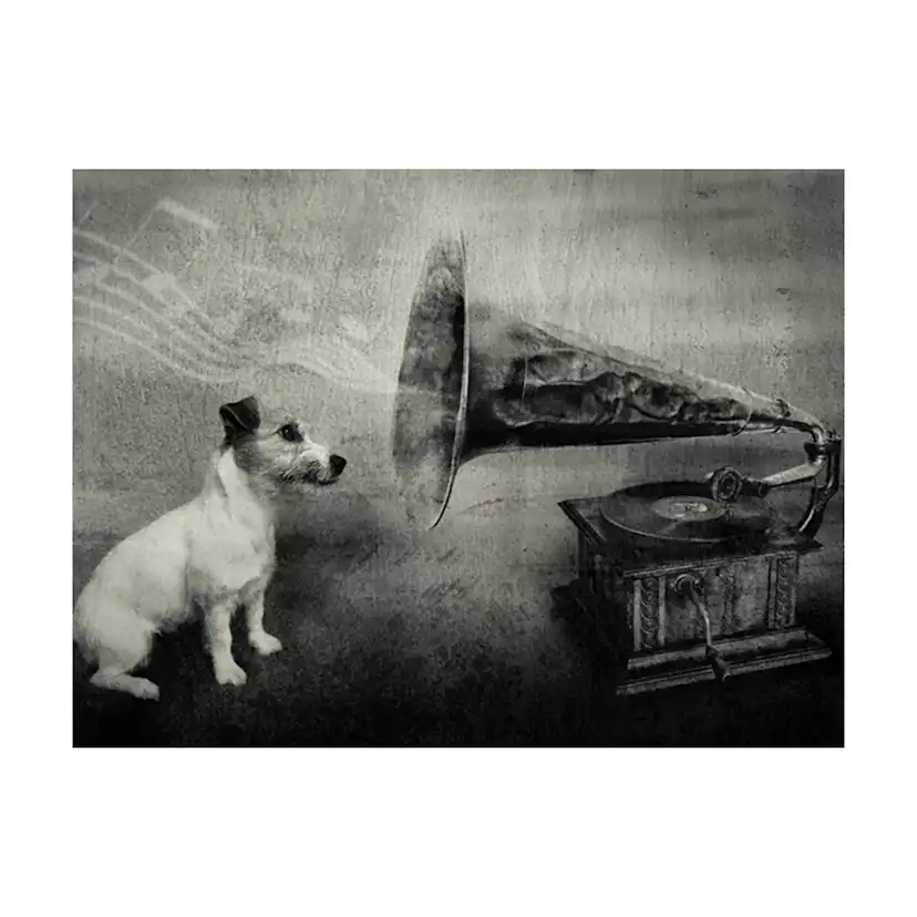 Dog's melodies 250x193 Storlek: 250x193 cm