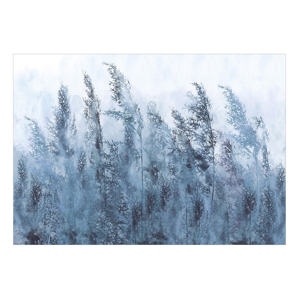 Självhäftande fototapet - Tall Grasses - Grey 147x105 Storlek: 147x105 cm