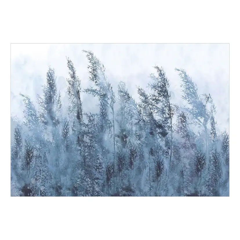 Självhäftande fototapet - Tall Grasses - Grey 147x105 Storlek: 147x105 cm
