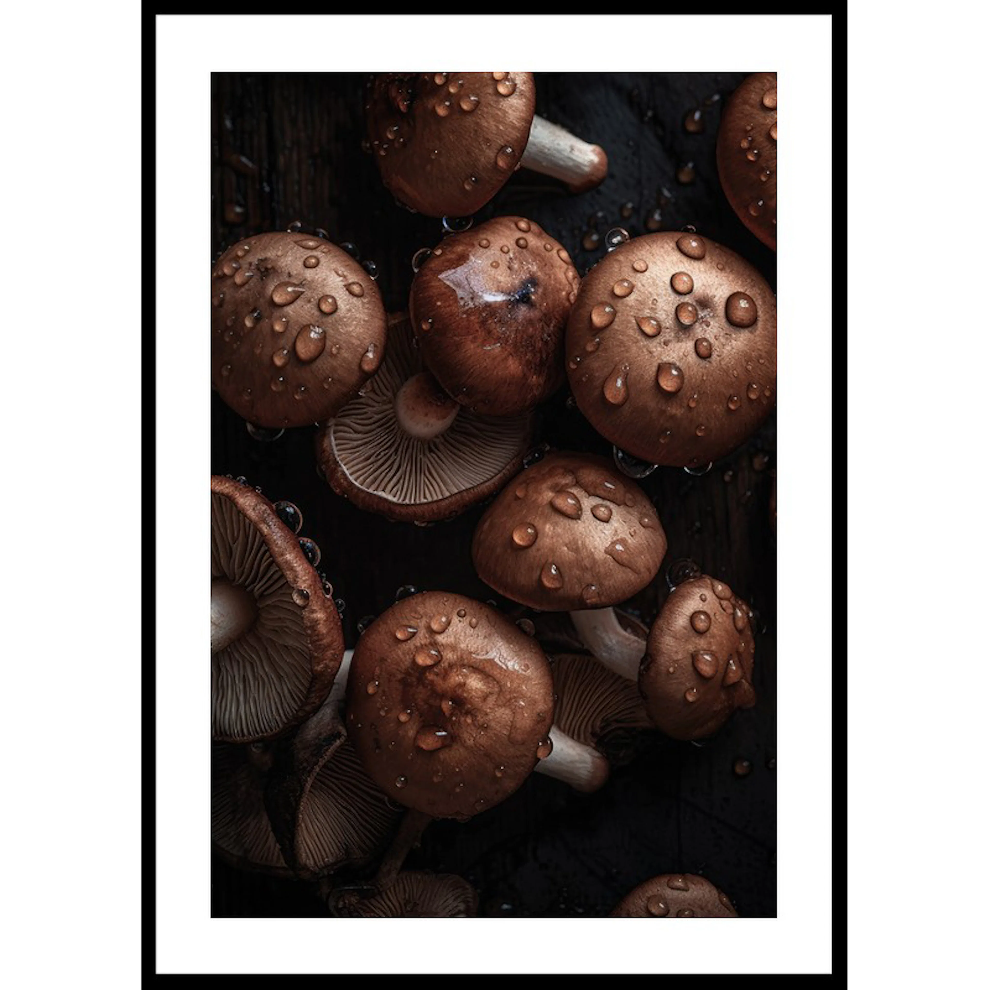 Mushrooms No2 70x100 70x100 cm