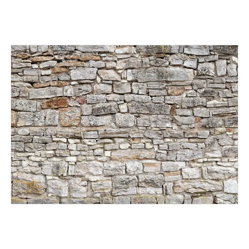 Fototapet Arkiio Självhäftande Royal Wall