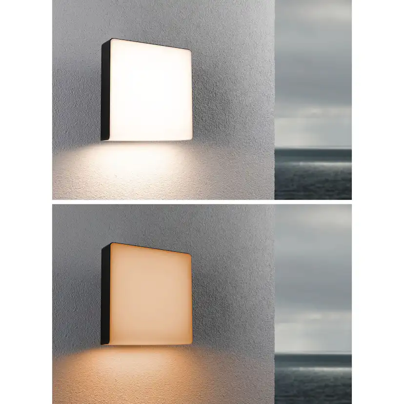 Fasadbelysning LED Paulmann Azalena med Skymningsstyrd rörelsedetektor Smart Home Zigbee 3.0 IP44 230V
