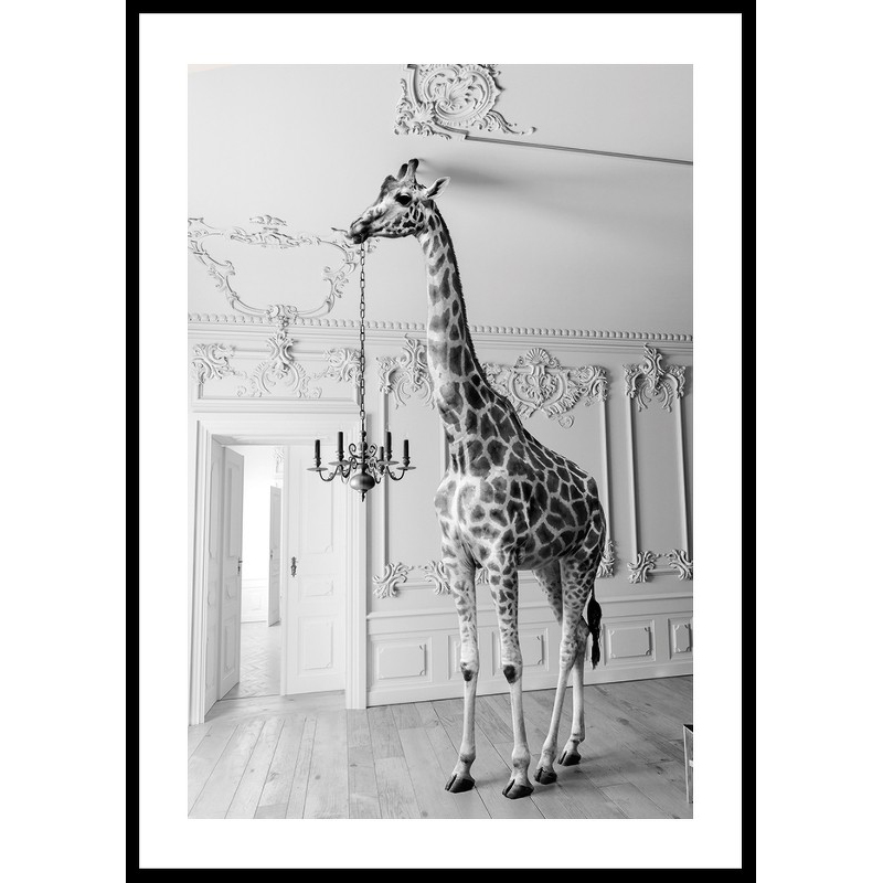 Poster Gallerix Giraffe Indoor B&W