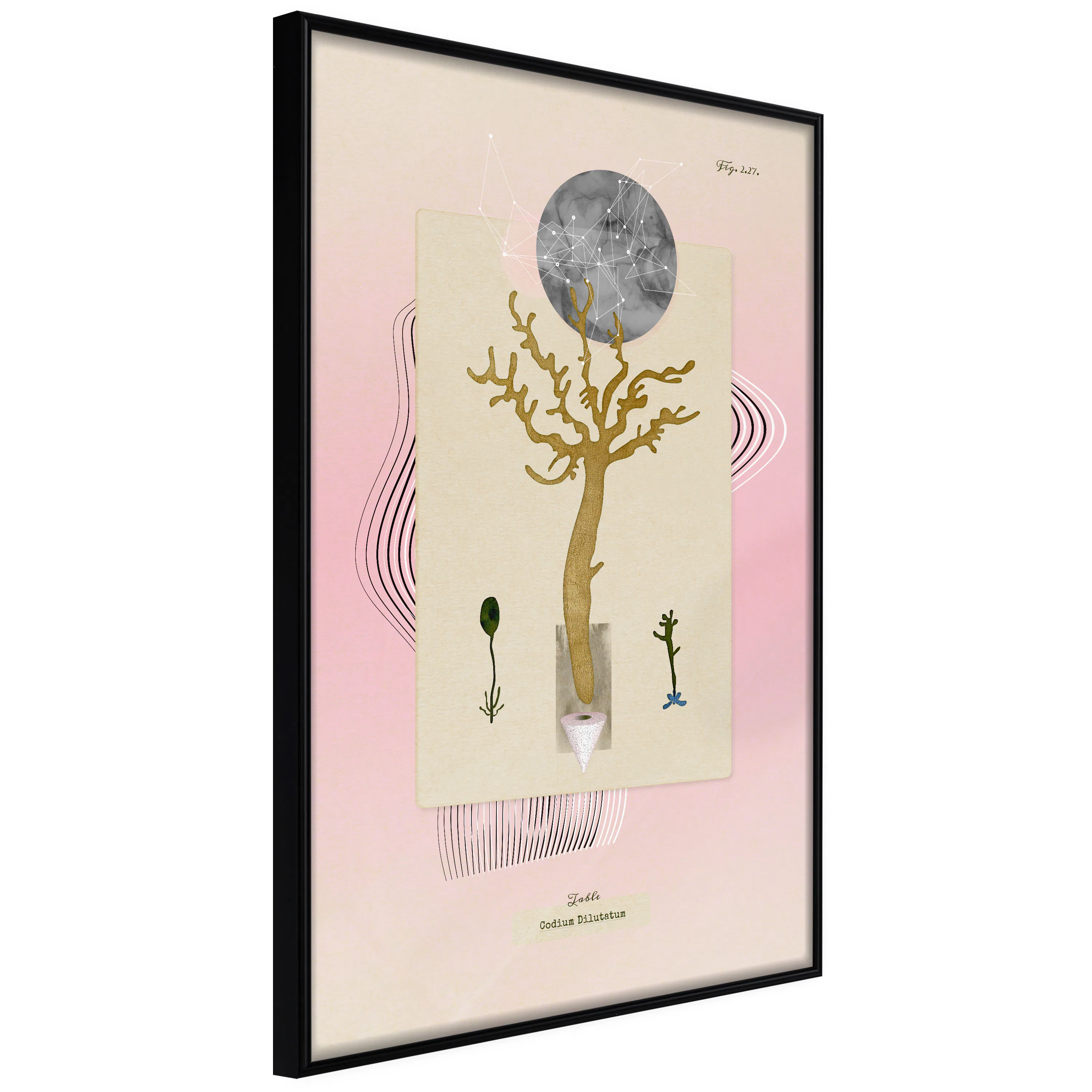 Poster Artgeist Affisch Unusual Plant