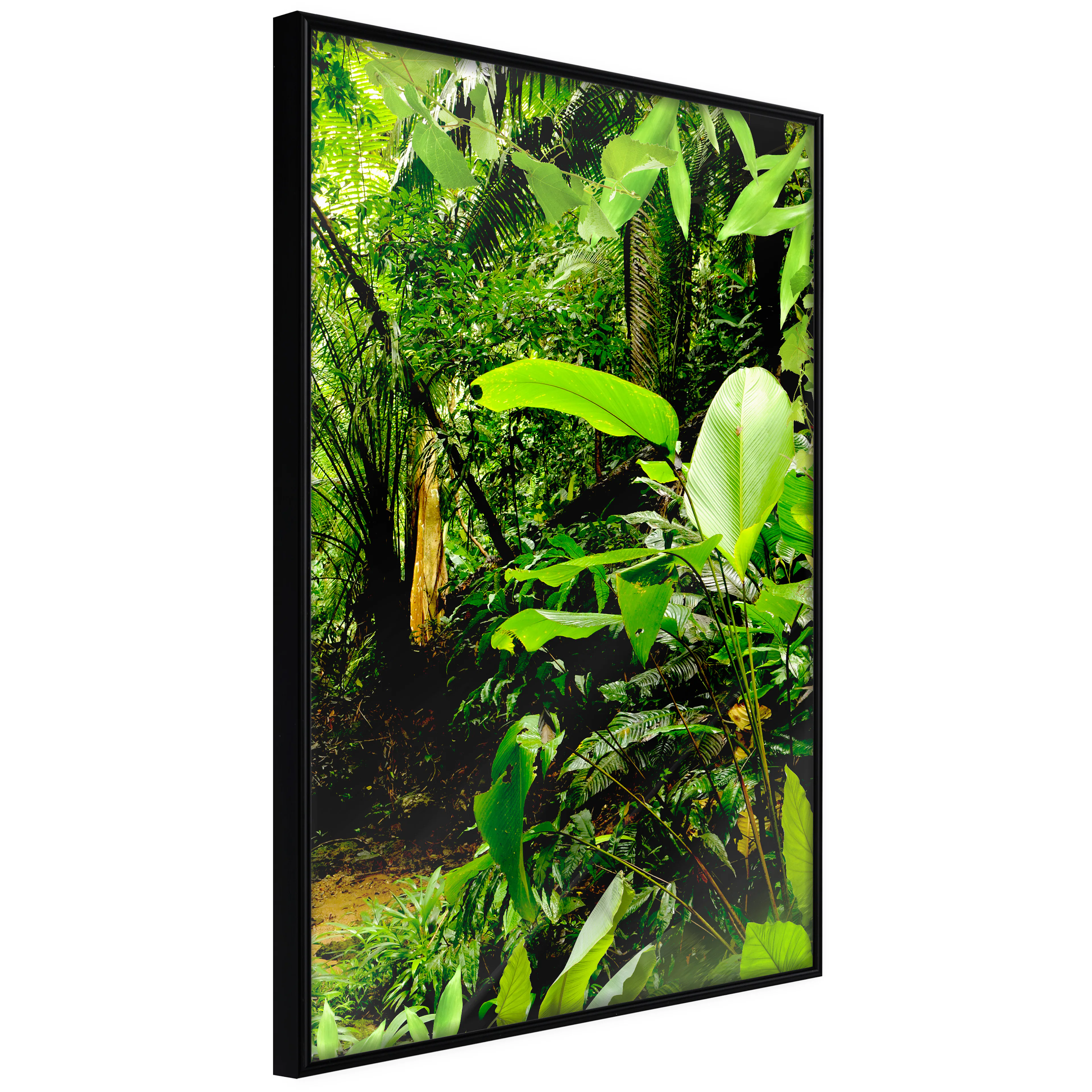 Affisch - Lungs of the Earth [Poster] 30x45 Svart ram, 30x45 cm