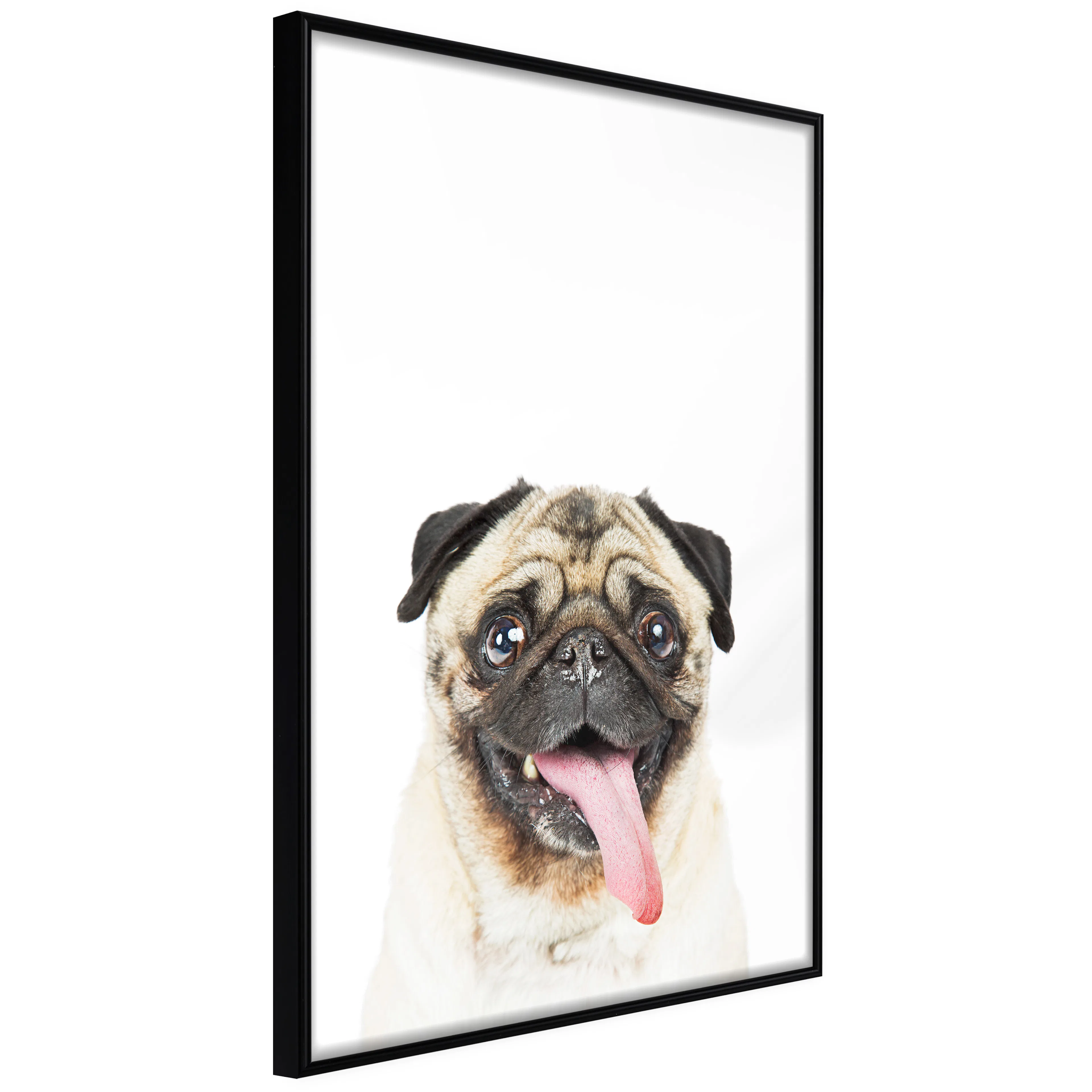 Affisch - Pug [Poster] 20x30 Svart ram, 20x30 cm