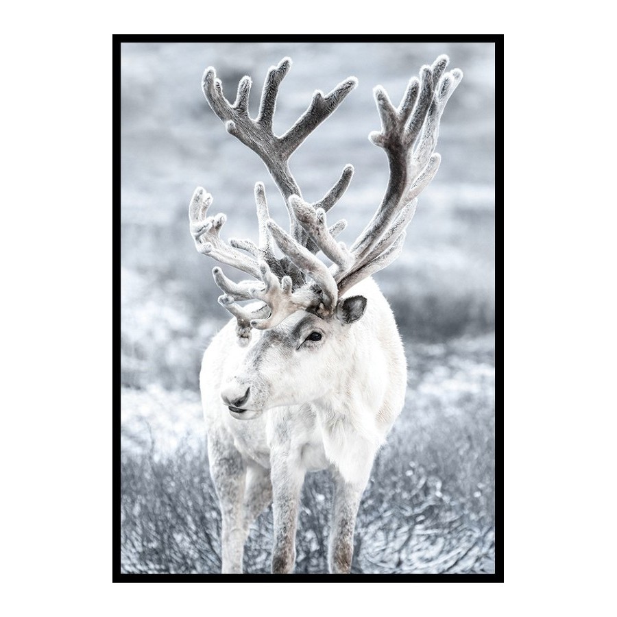 Poster Gallerix Reindeer