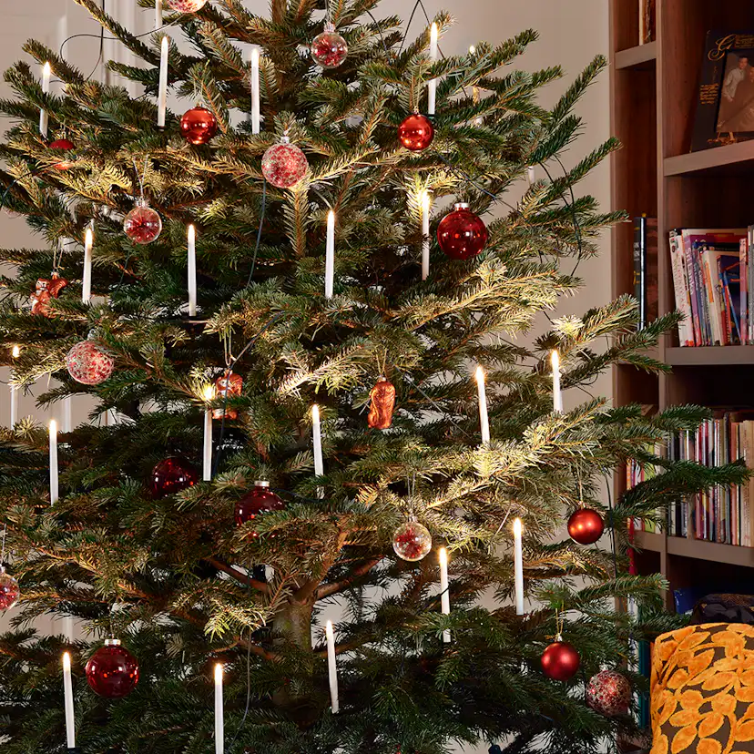Julgransbelysning Gnosjö Konstsmide LED Parallellkopplad