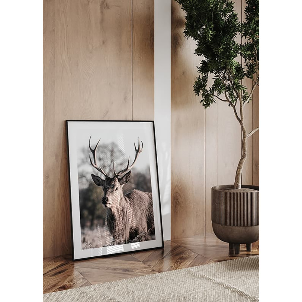 Poster Gallerix Deer Up Close