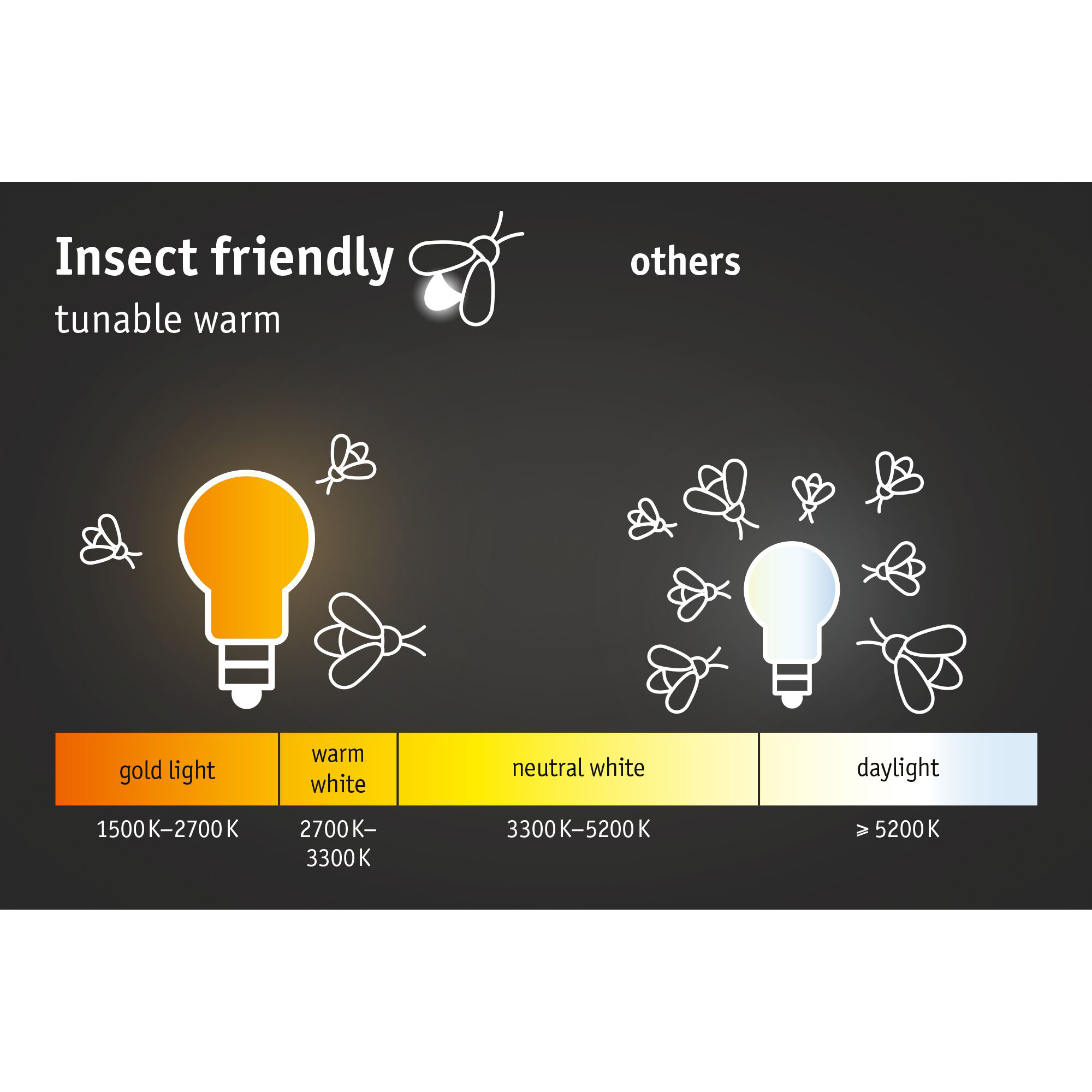 LED Infälld Markbelysning Paulmann Brick Smart Home Zigbee 3.0 IP67 230V