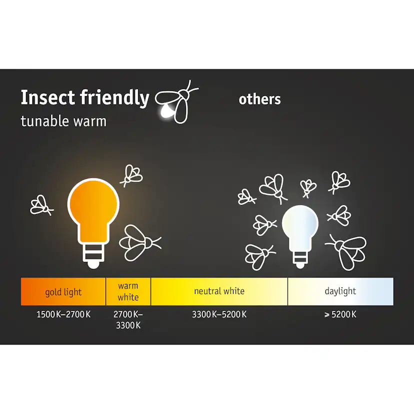 LED Infälld Markbelysning Paulmann Brick Smart Home Zigbee 3.0 IP67 230V