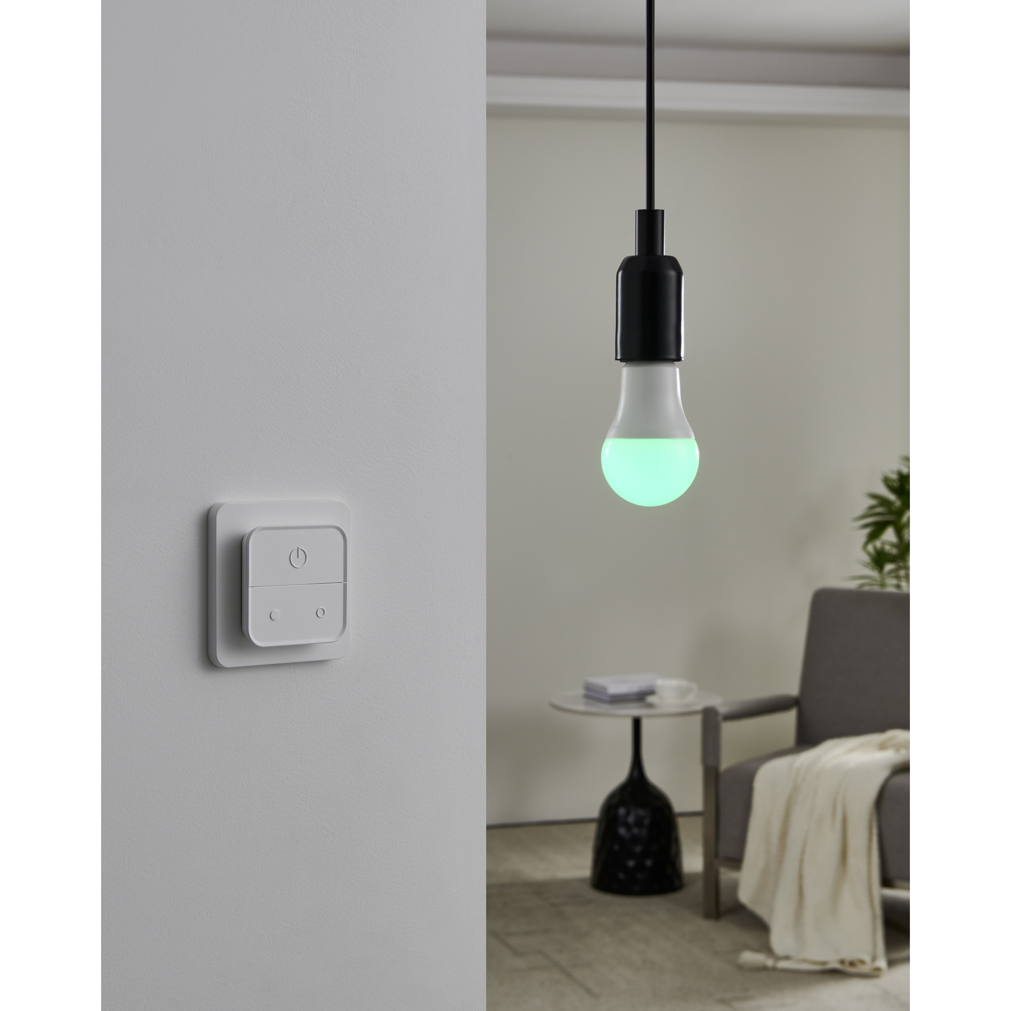 Ljuskälla Eglo 2xLM-ZIG-RGB/CCT E27 A60 9W Brytare