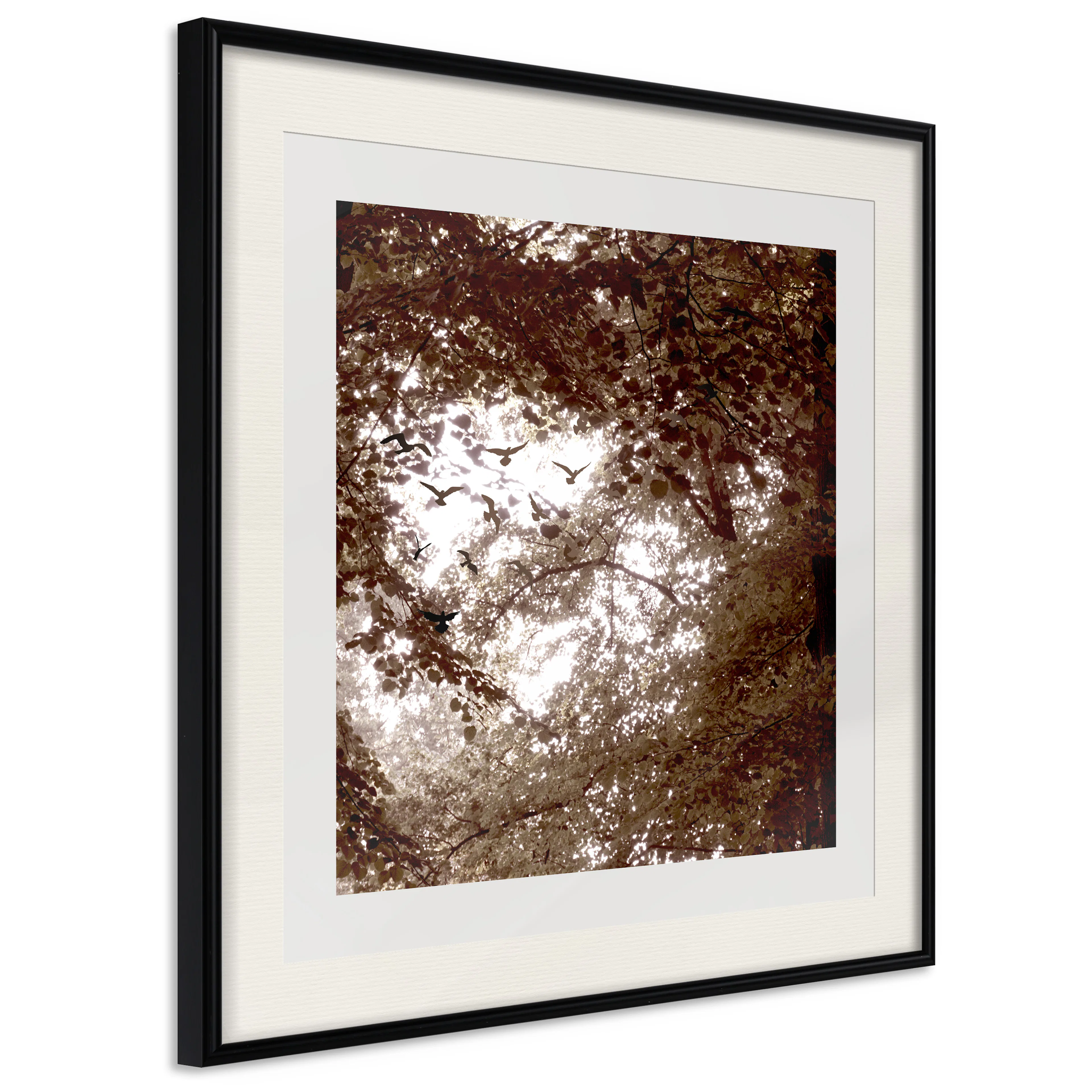 Affisch - Freedom [Poster] 30x30 Svart ram med passepartout, 30x30 cm