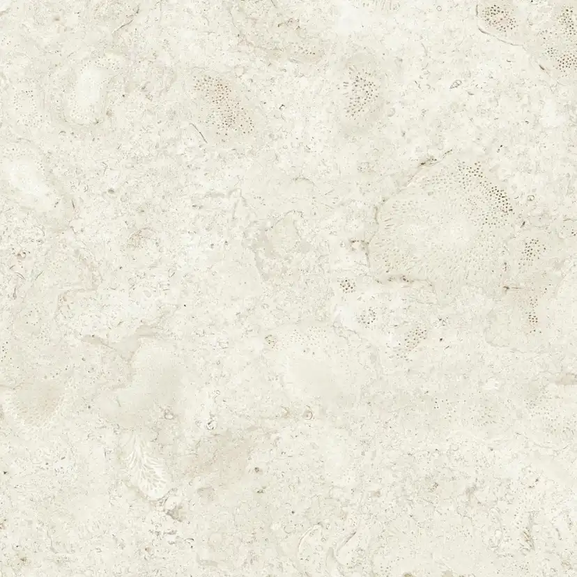 Klinker Tenfors Coralina Bone Matt 60x60 cm