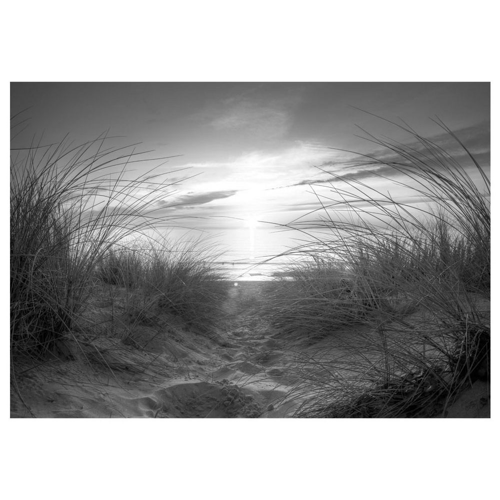 Fototapet Arkiio Självhäftande Beach Black And White