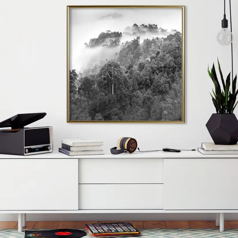 Poster Artgeist Affisch Rainforest