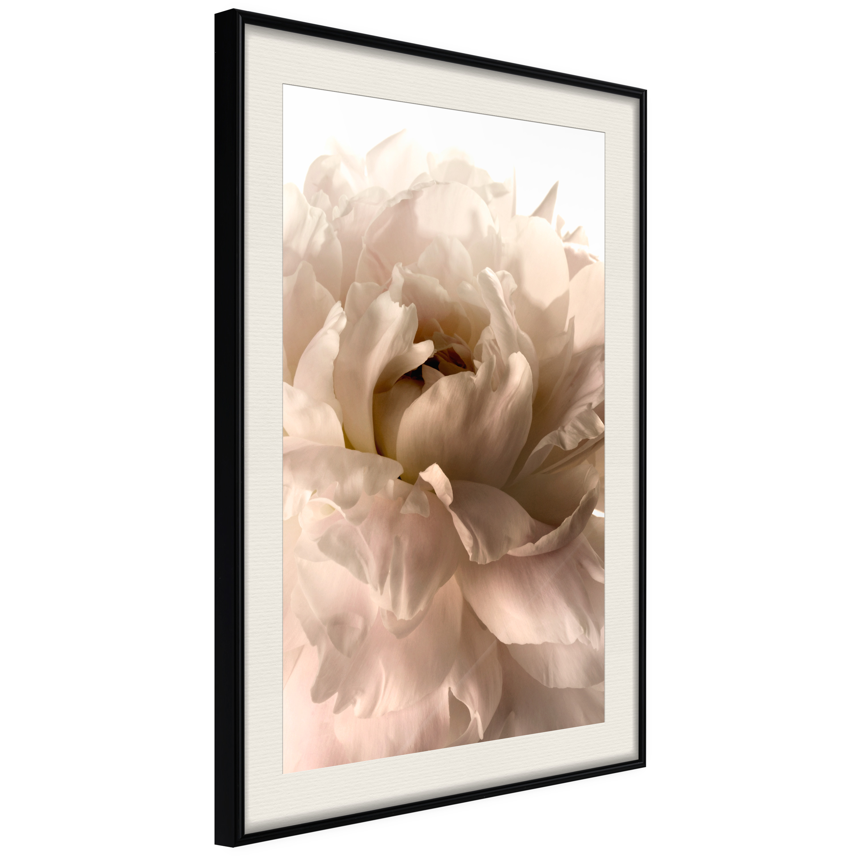 Poster Artgeist Affisch Soft Petals