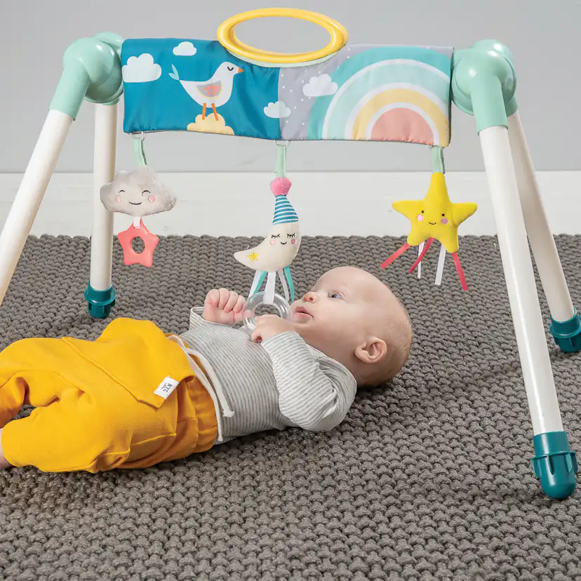 Babygym Rätt Start TAF Mini Moon Take To Play