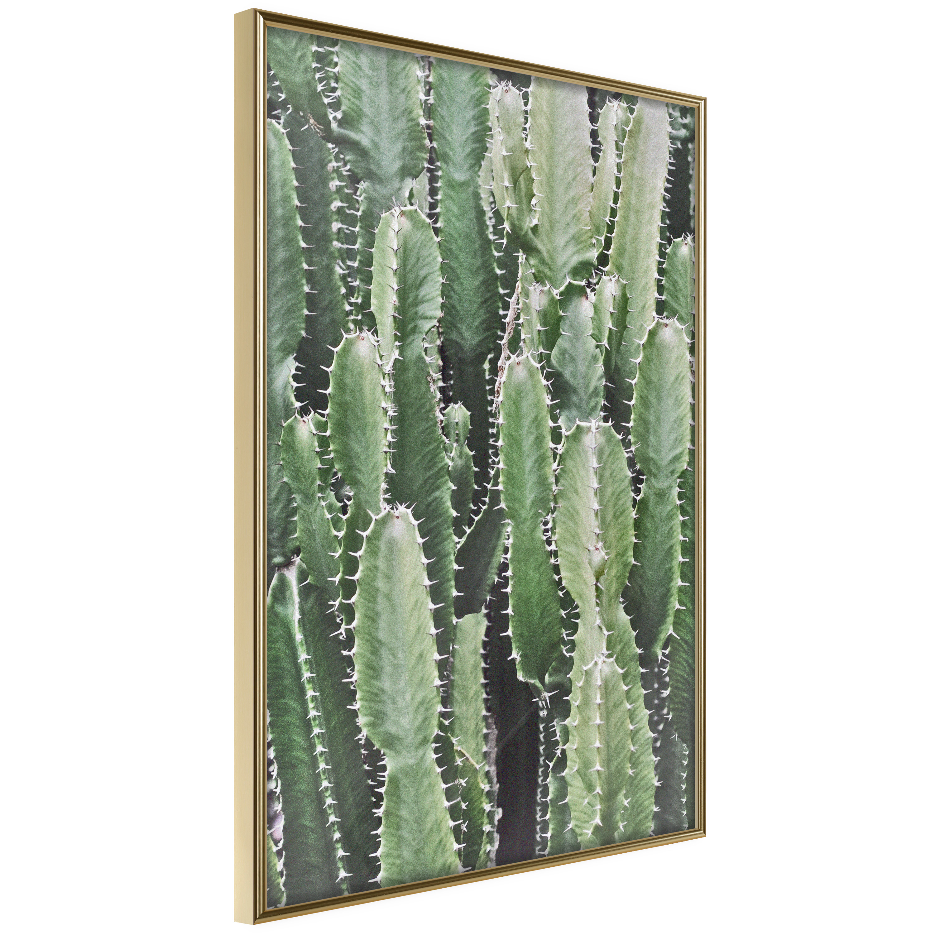 Affisch - Cactus Garden [Poster] 20x30 Guld ram, 20x30 cm