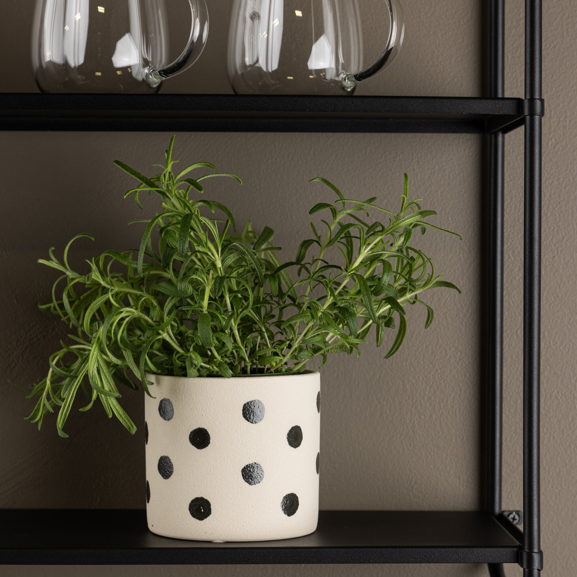 Kruka Venture Home Sane