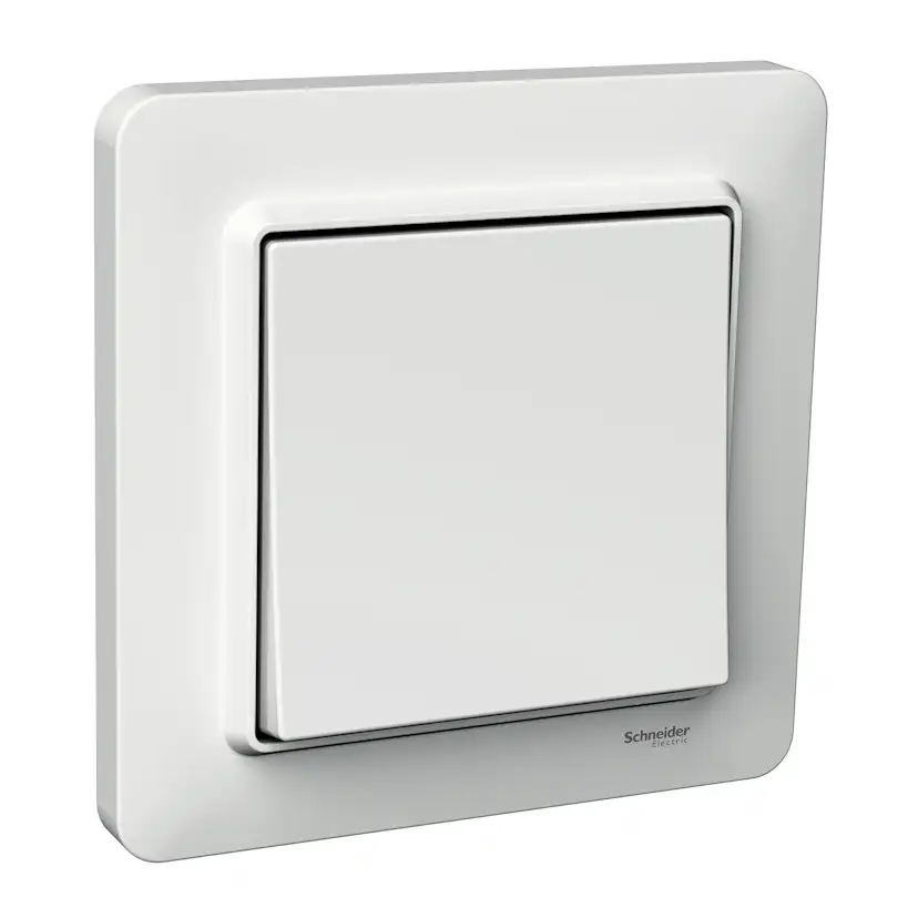Strömbrytare Schneider Electric Exxact