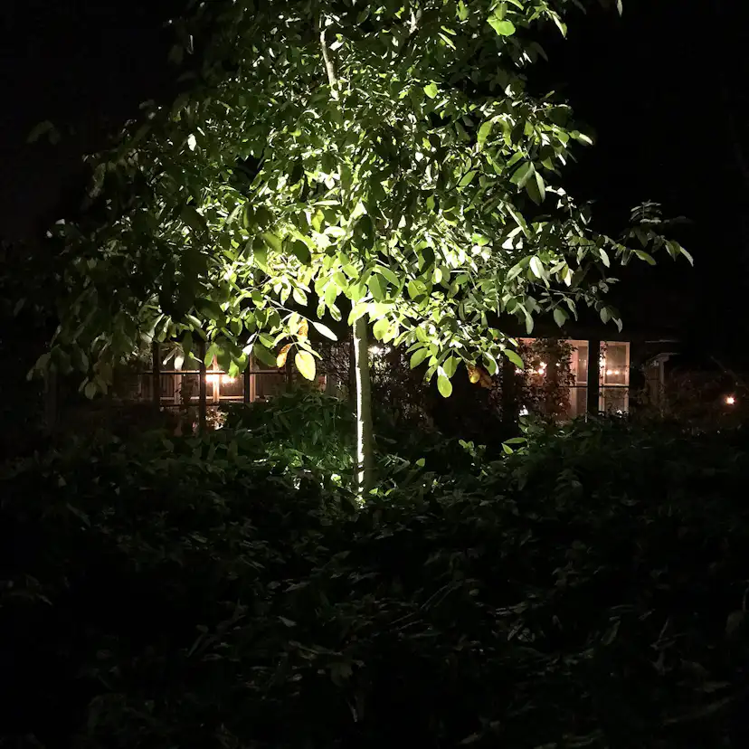 Markspot LightsOn Medusa, Svart