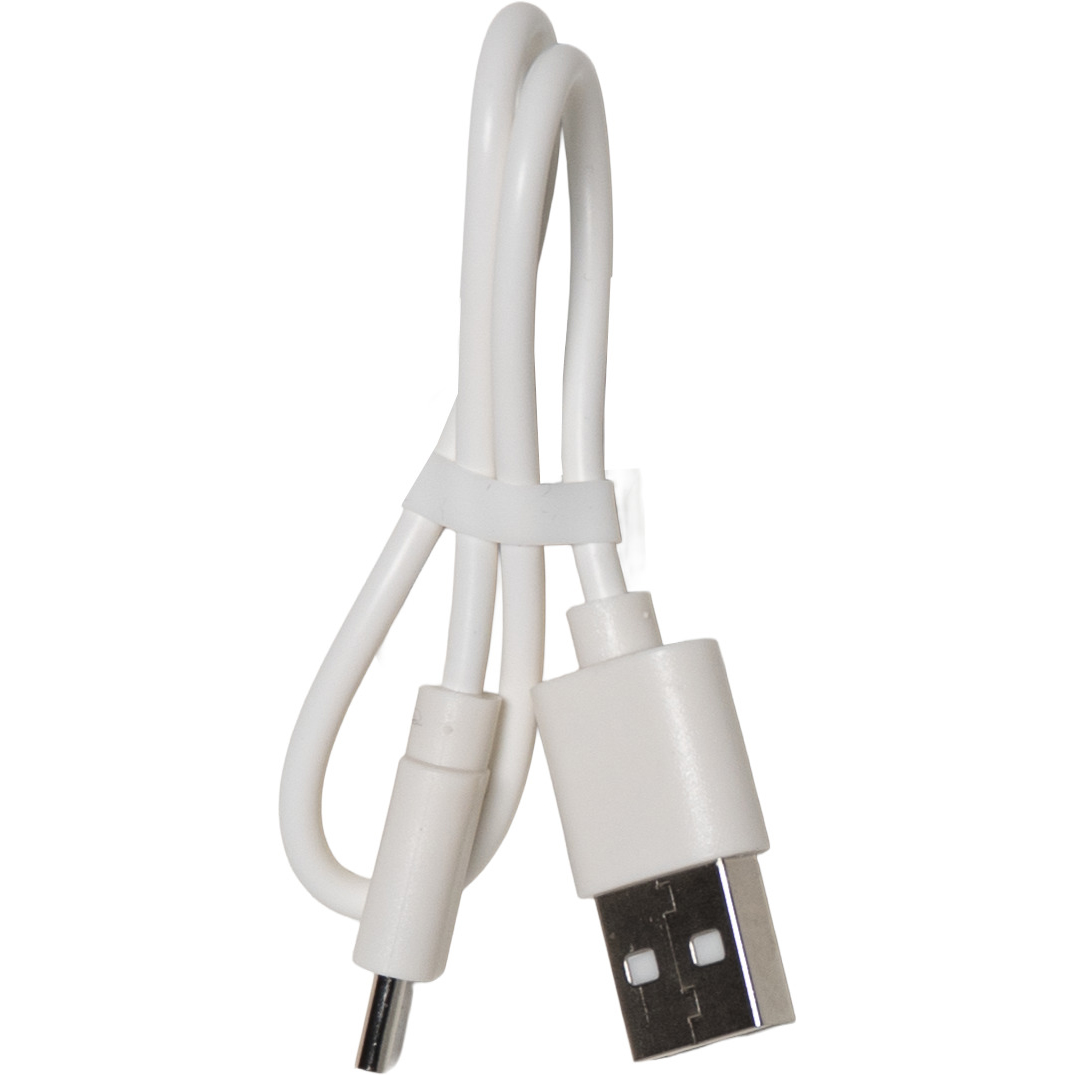 LED-Nattlampa Star Trading Functional Capybara USB