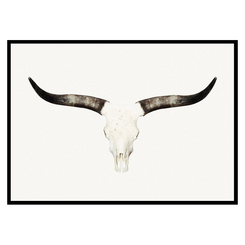 Poster Gallerix Animal Skull