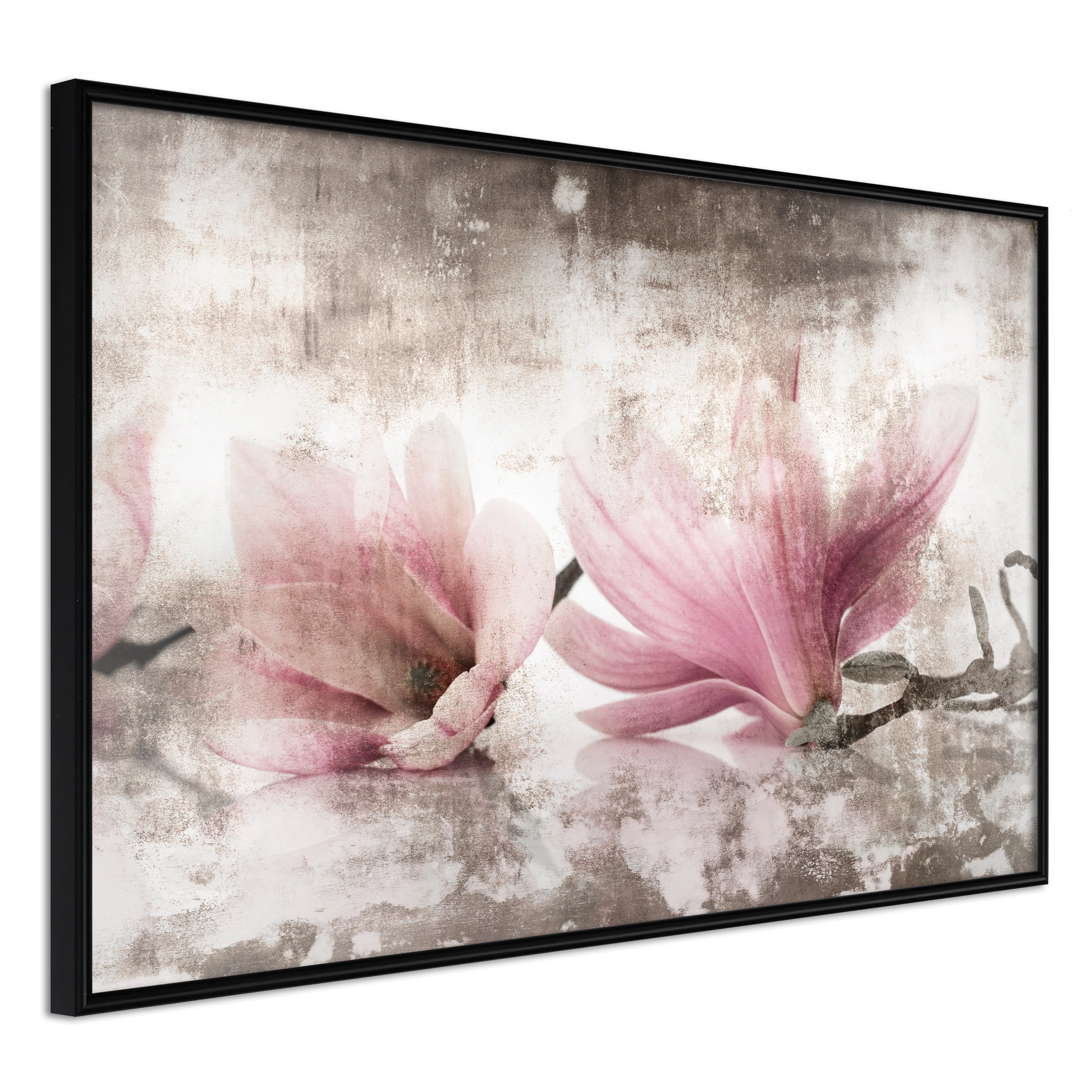 Affisch - Magnolia Memory [Poster] 60x40 Svart ram, 60x40 cm