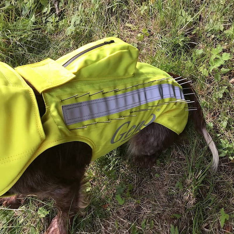 Skyddsväst Genzo Wild Boar för Hund