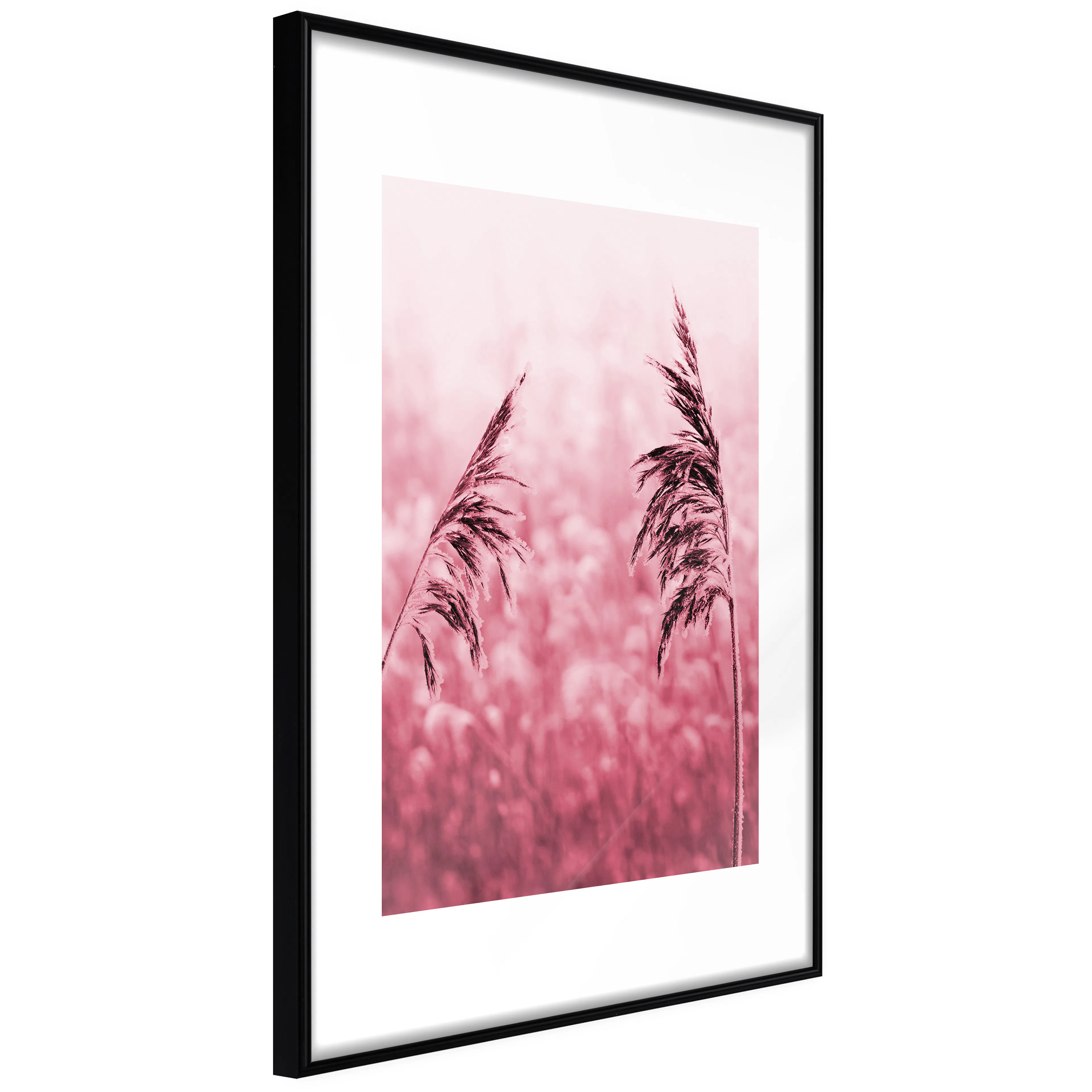 Affisch - Ruby Stalk [Poster] 20x30 Svart ram, 20x30 cm