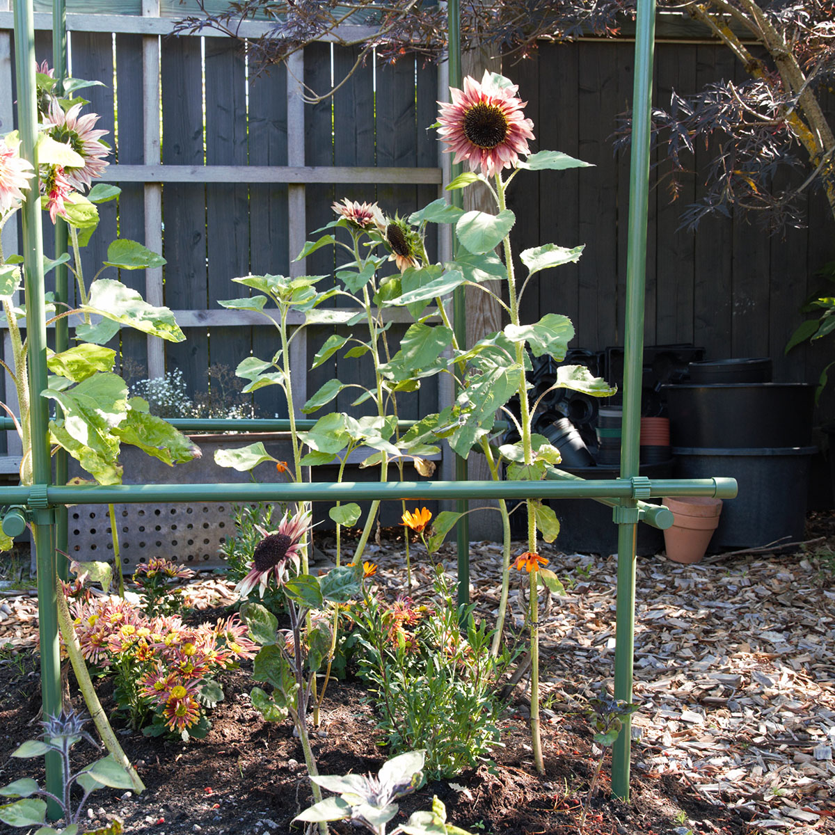 Buskstöd Flexigarden