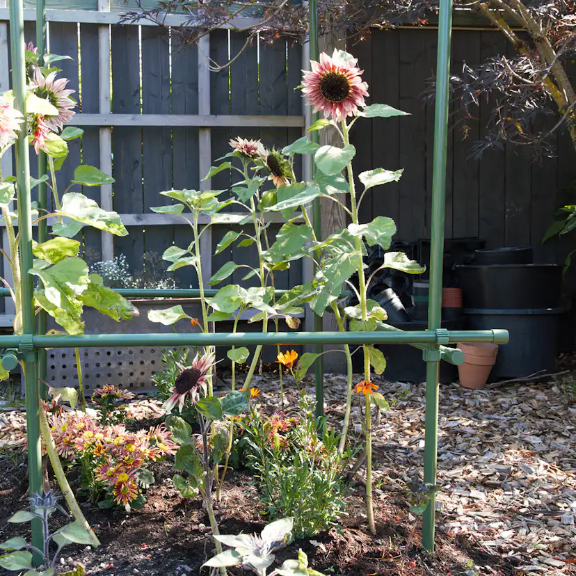 Buskstöd Flexigarden