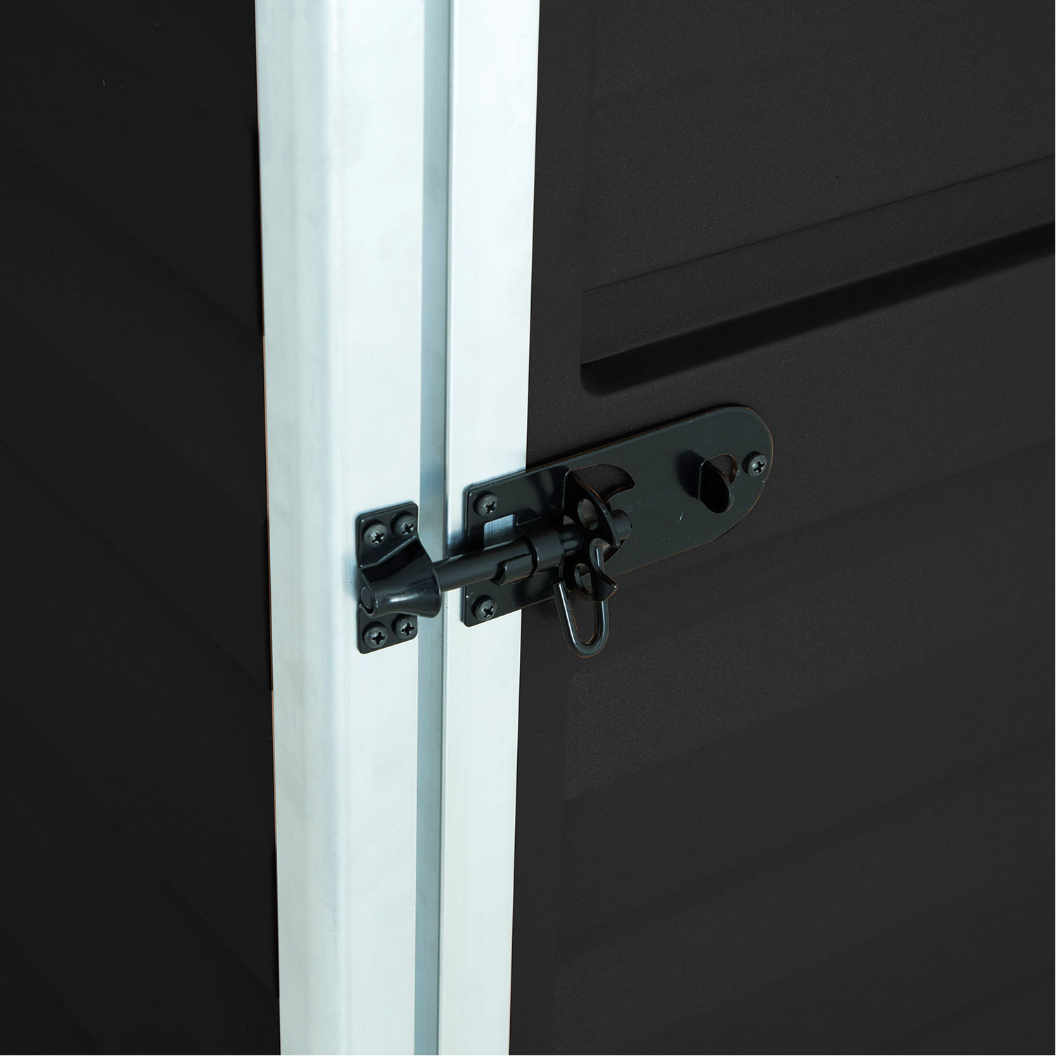 Skjul Canopia by Palram Skylight Pent 2,1 m² Vinklat Tak