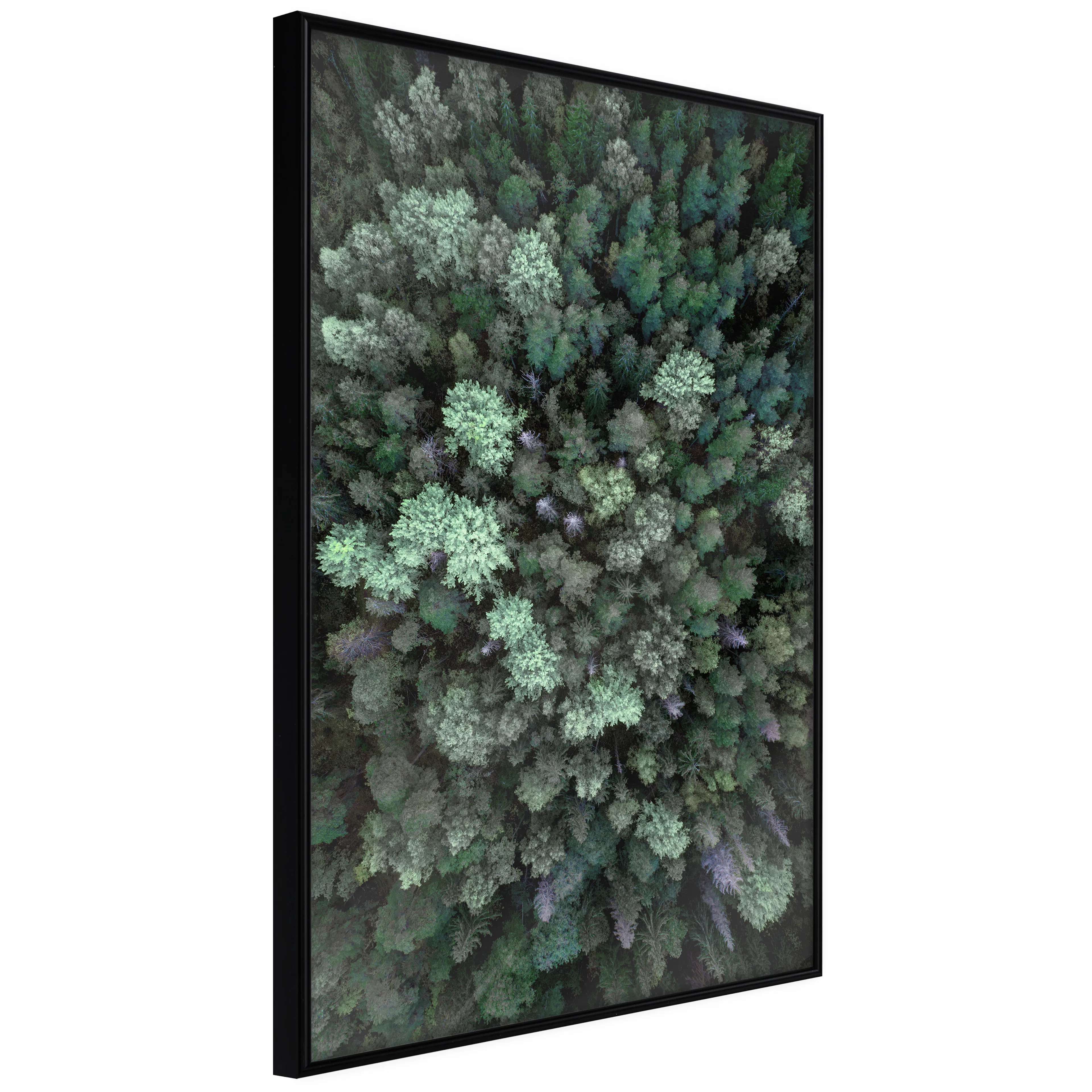 Poster Artgeist Affisch Flying Over Forest