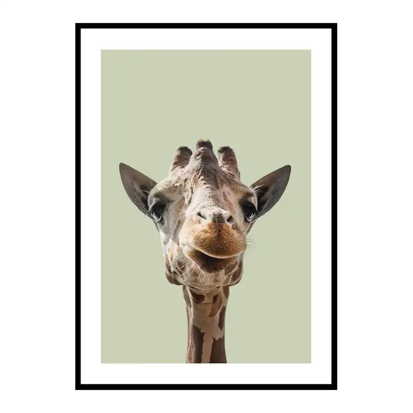 Poster Gallerix Smiling Giraffe
