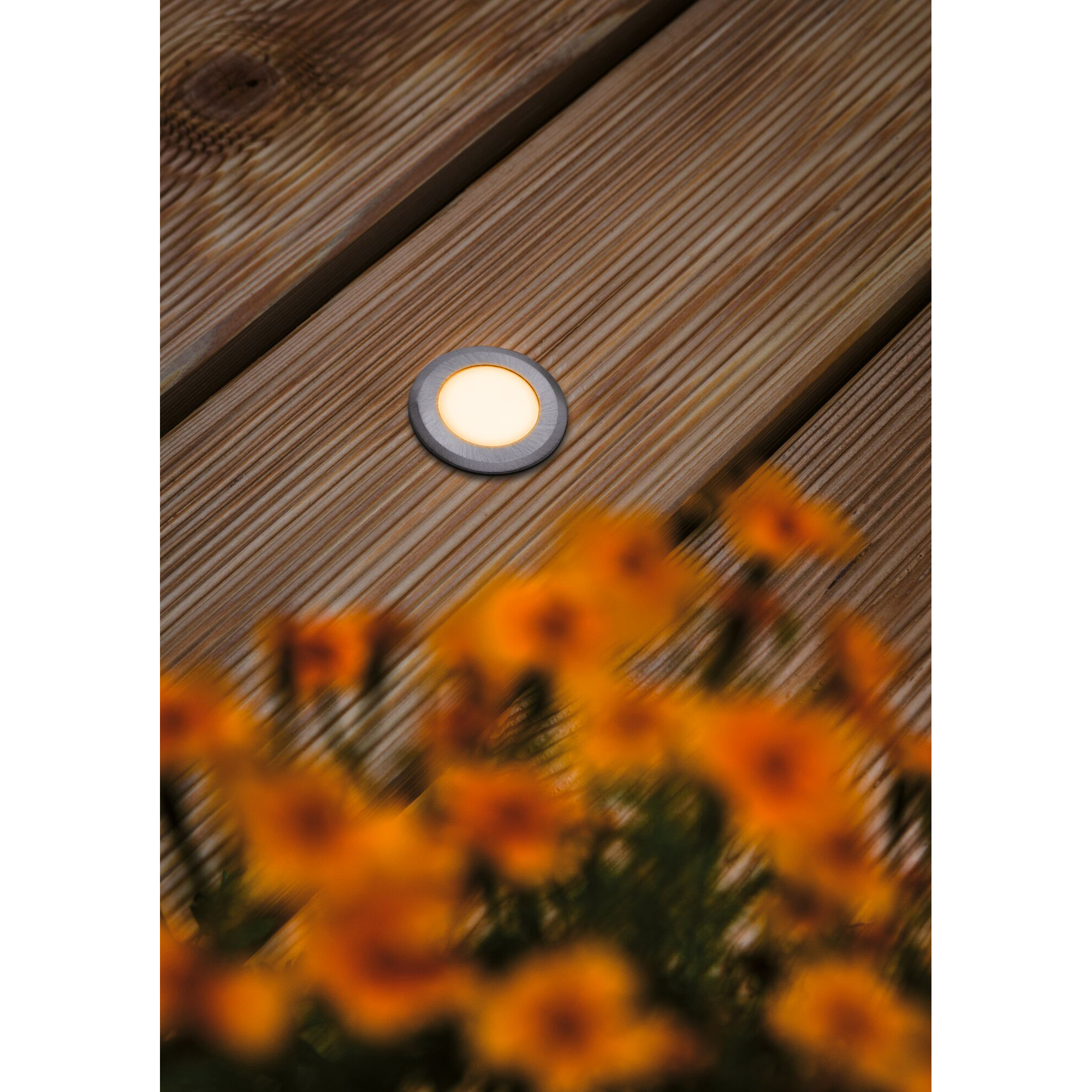 LED Infälld Markbelysning Paulmann House Rund IP67 230V Ljus: Gold Light (insektsvänlig)