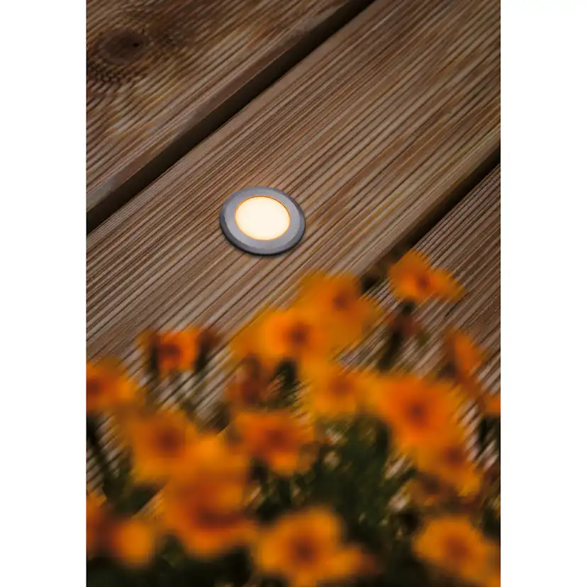LED Infälld Markbelysning Paulmann House Rund IP67 230V Ljus: Gold Light (insektsvänlig)