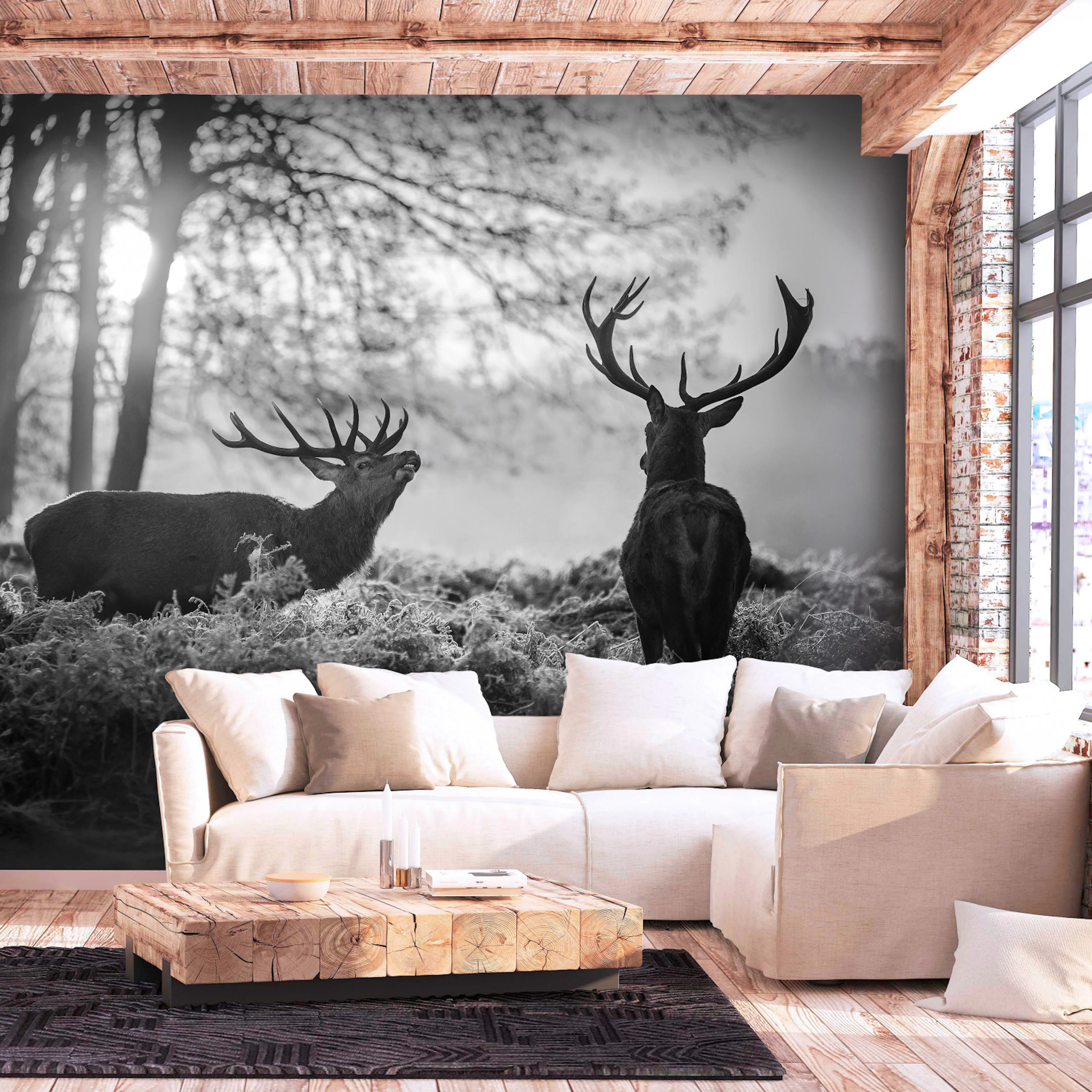 Fototapet - Deers in the Morning 450x315 450x315 cm