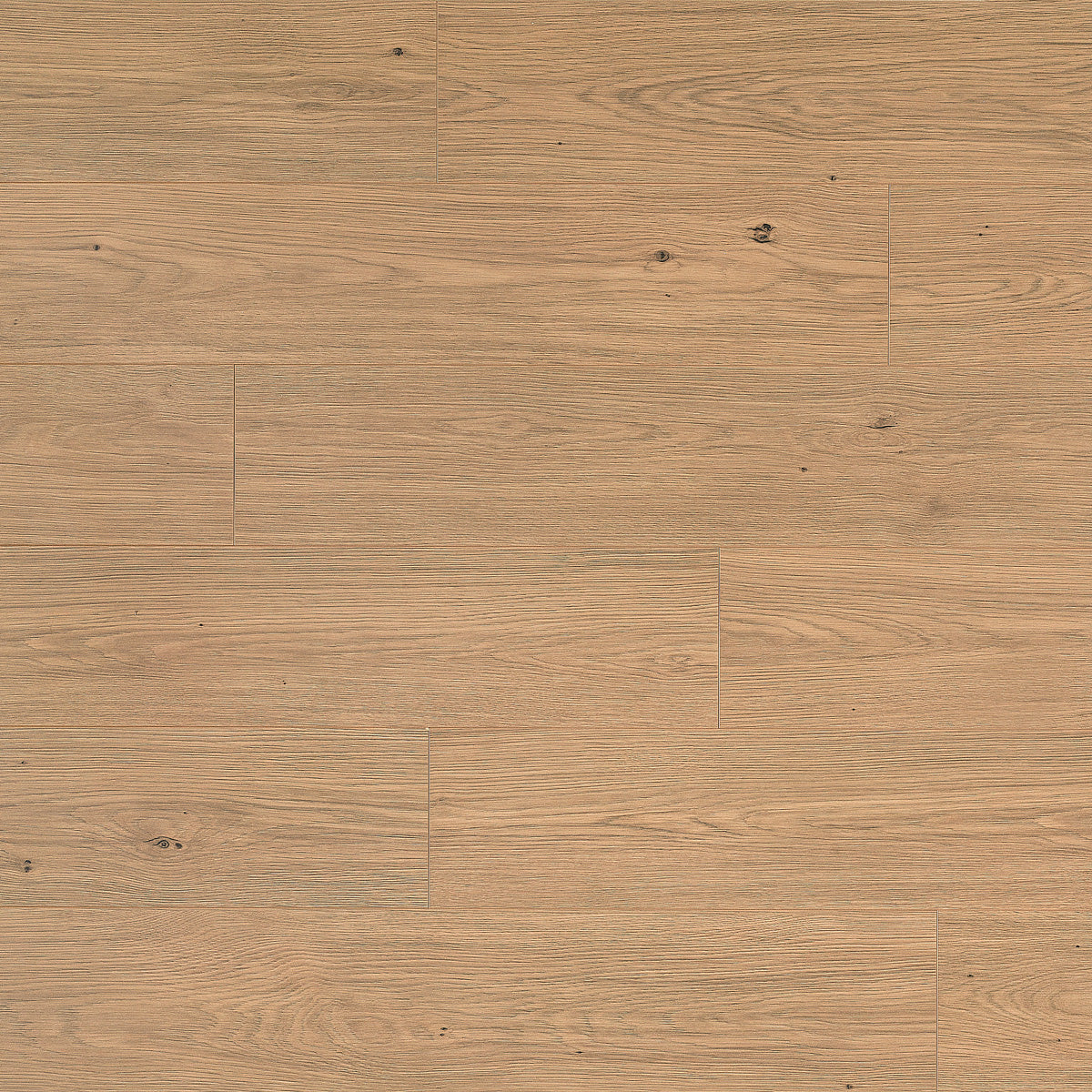 Laminatgolv Tenfors Oak Toffee 8 mm, 1-stav