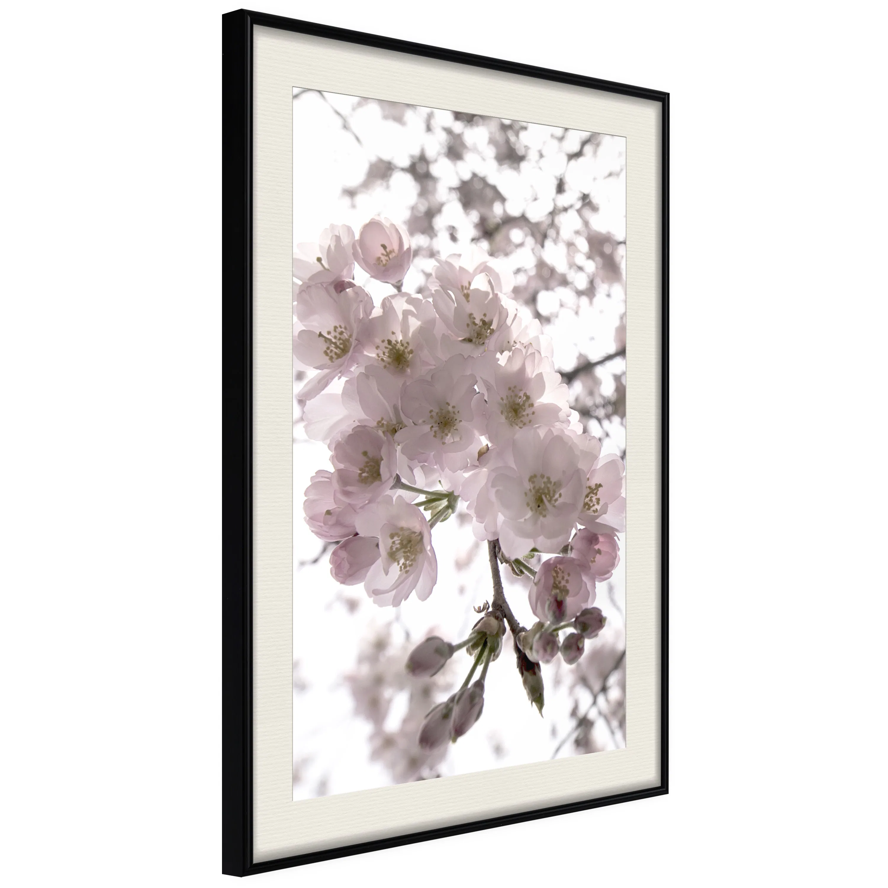 Poster Artgeist Affisch Cherry Blossoms
