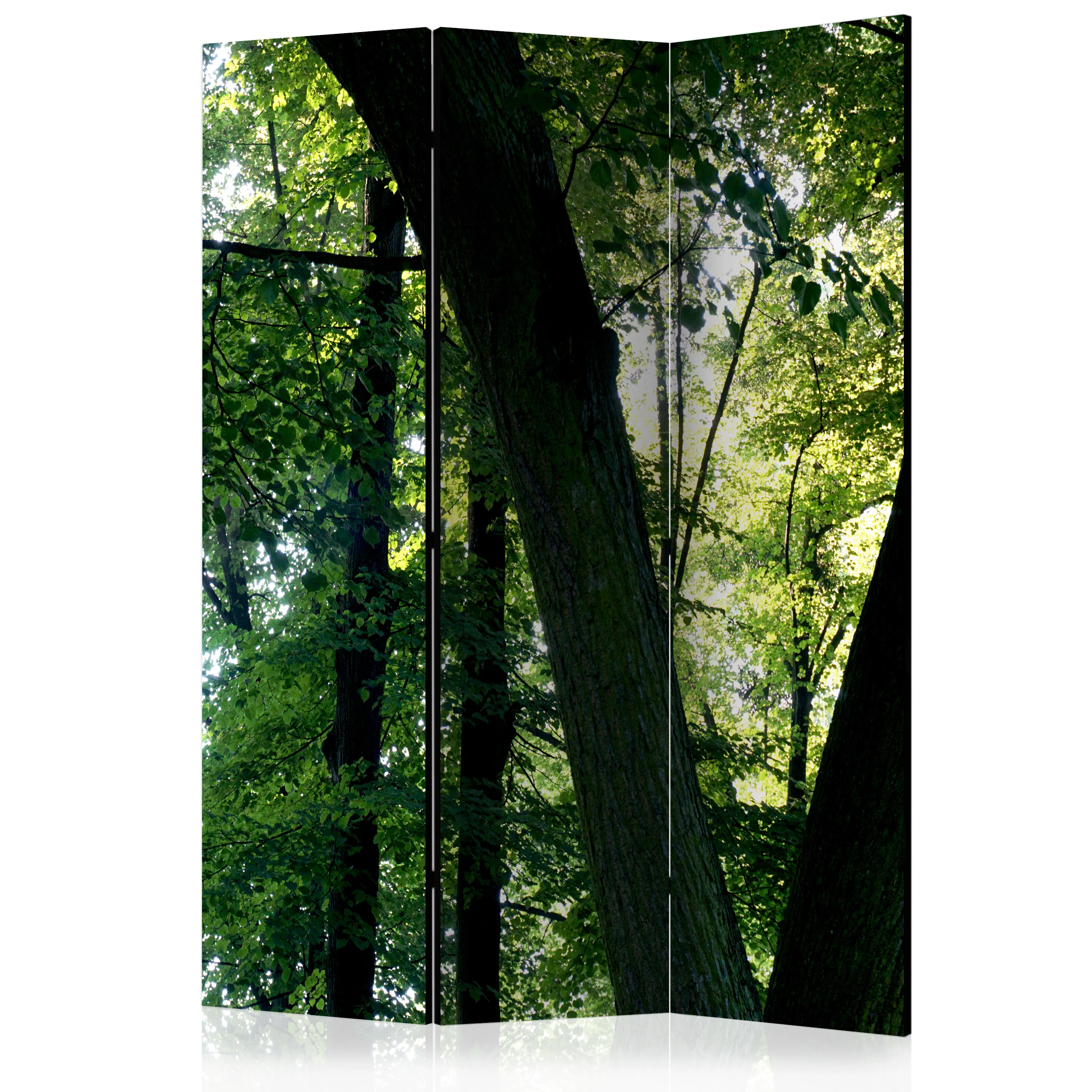 Rumsavdelare Skärmvägg Arkiio Spring In The Park 135x172 cm