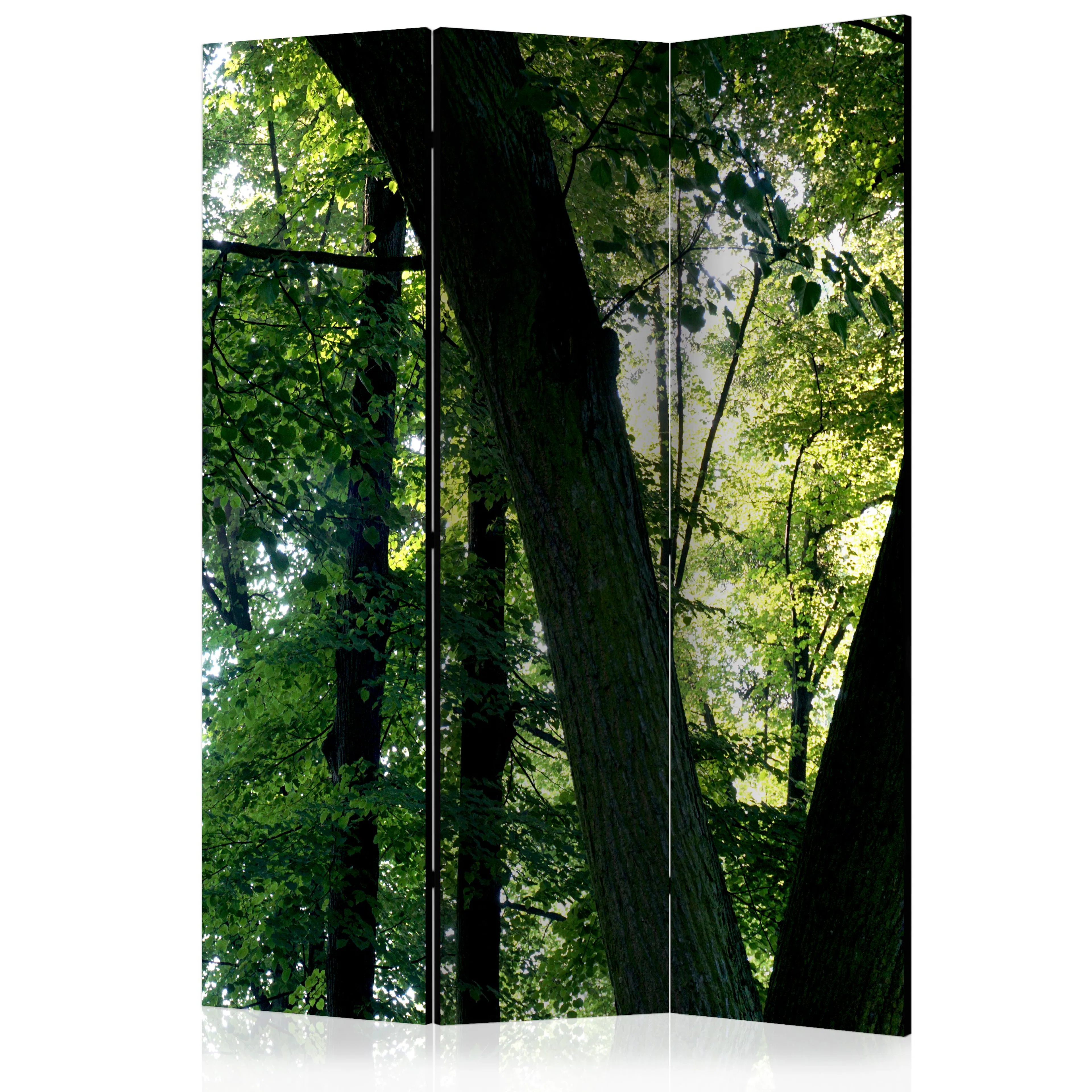 Rumsavdelare Skärmvägg Arkiio Spring In The Park 135x172 cm