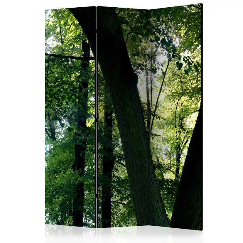 Rumsavdelare Skärmvägg Arkiio Spring In The Park 135x172 cm