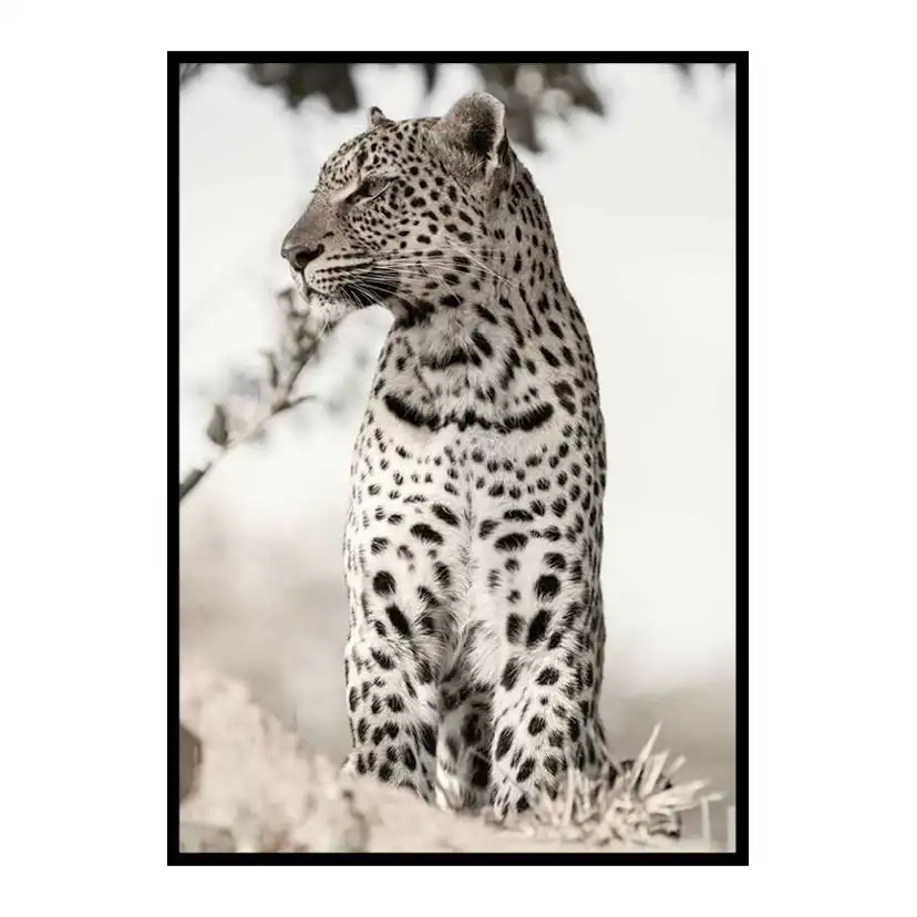 African Leopard 50x70 cm
