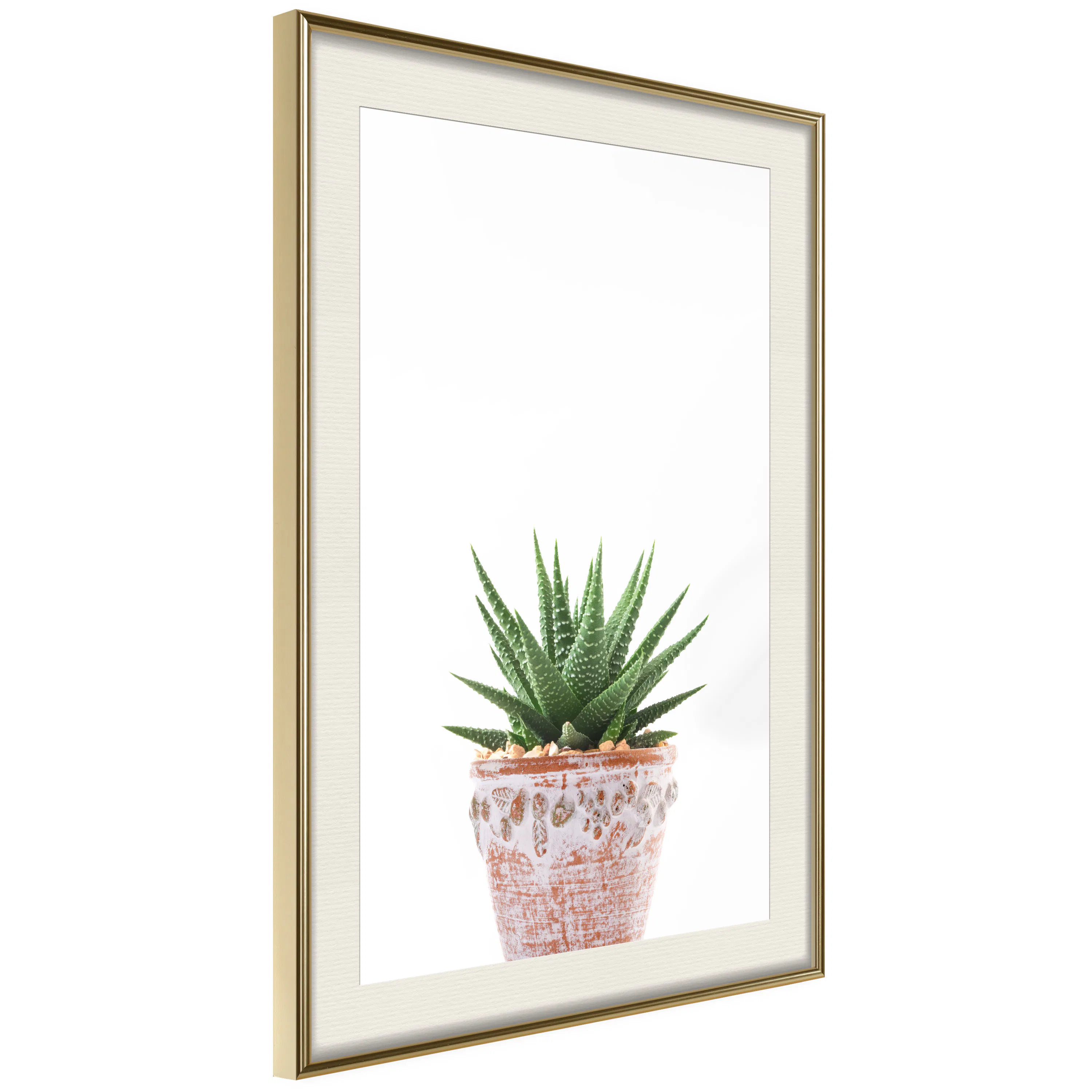 Poster Artgeist Affisch Succulents In Pot